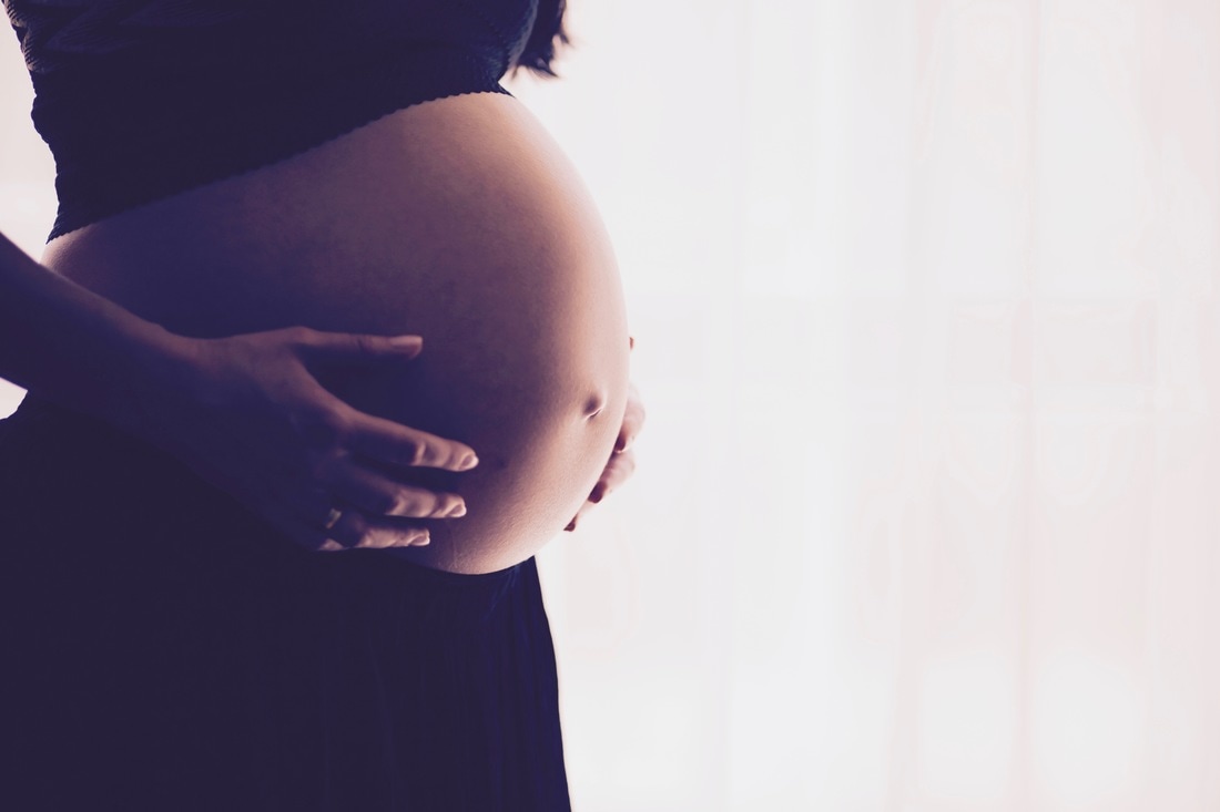 Fertility and Pregnancy Program